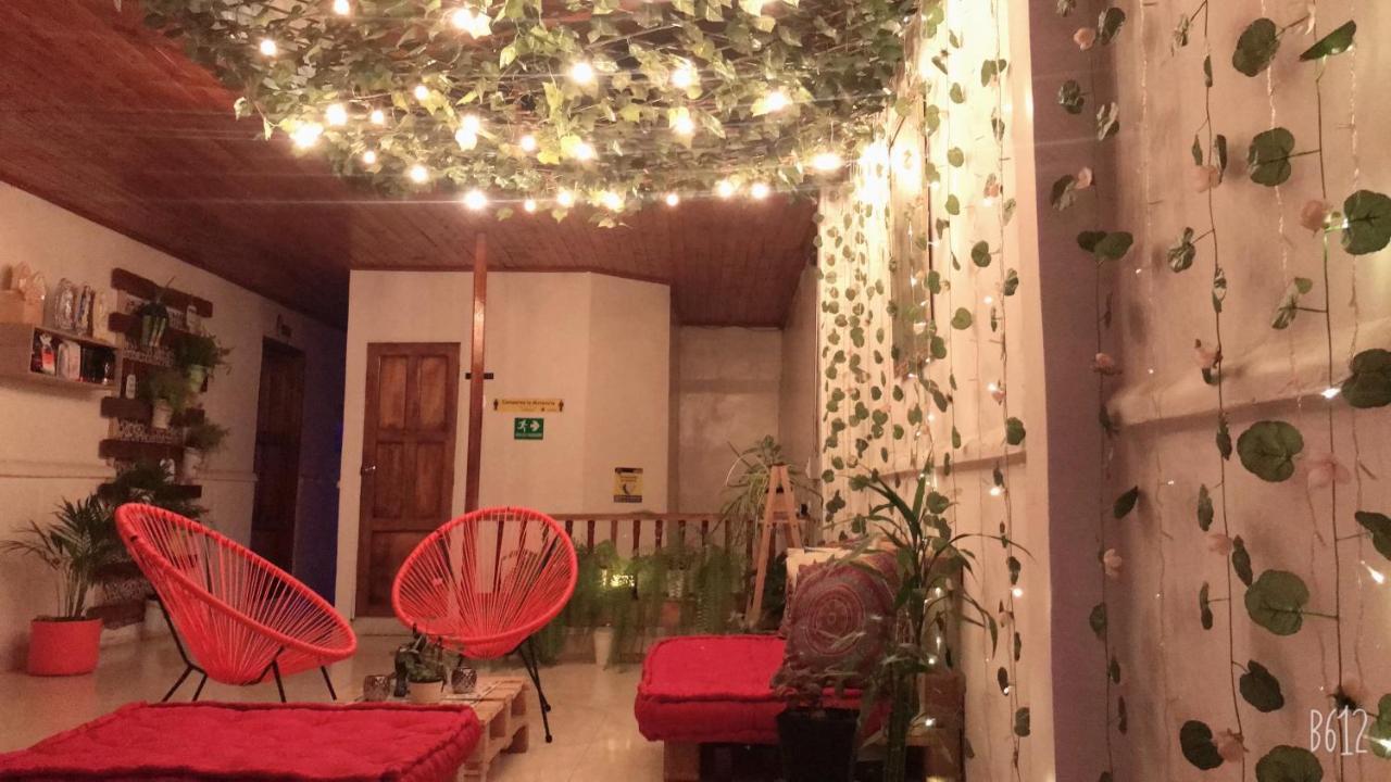 Hospedaje Casa Rosa Jardín Kültér fotó